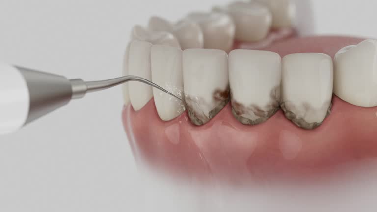 Reliable Dental contractor in North Belle Vernon, PA by Dentist Open Now